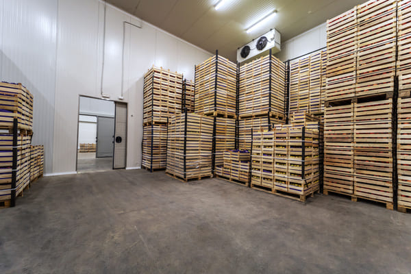 A cold storage warehouse with crates of produce