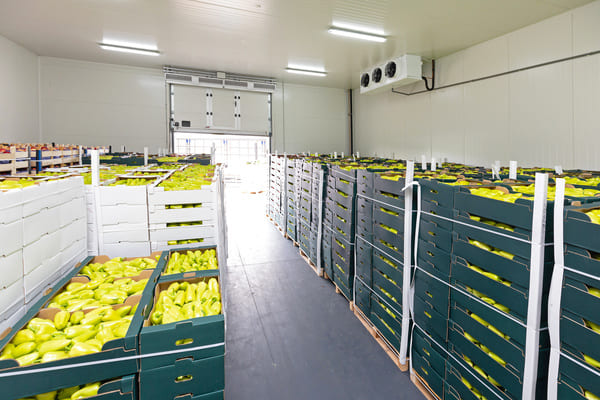 Crates of produce stored in a refrigerated space